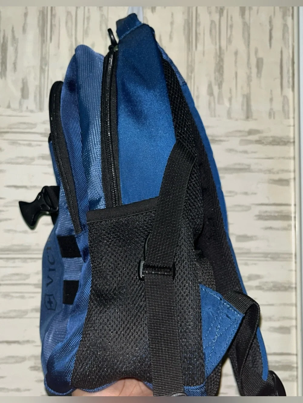 Victorinox genius professional essential Laptop Compact Backpack Bag blue